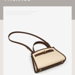 Clara Mini Top-Handle Bag